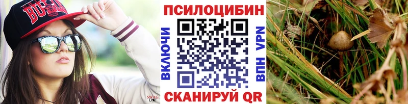 блэк спрут зеркало  Ардон  Галлюциногенные грибы GOLDEN TEACHER 